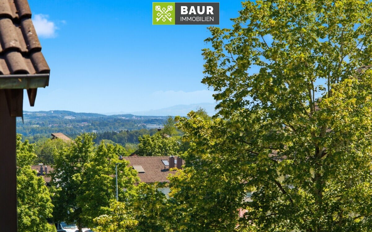 Real Estate Title Image Background